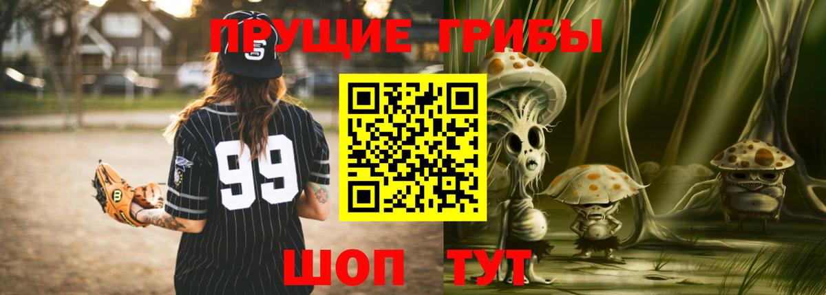 Галлюциногенные грибы Psilocybe Красноперекопск